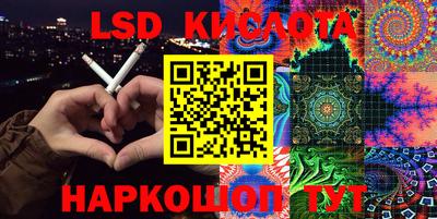 шишки Сланцы