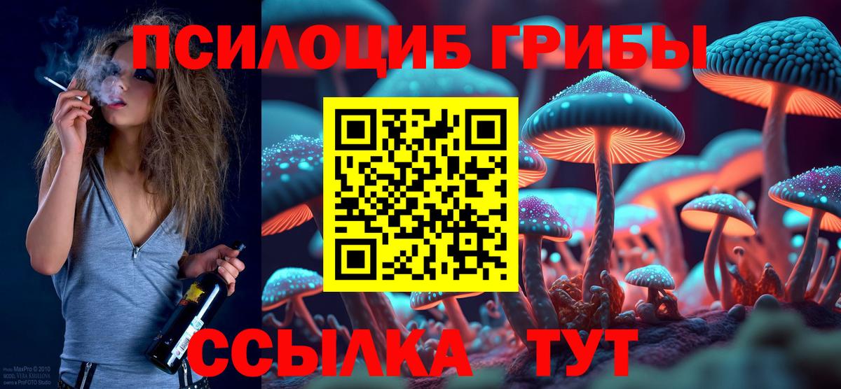Похвистнево  Галлюциногенные грибы Psilocybe  Вход с VPN  Галлюциногенные грибы Magic Shrooms 