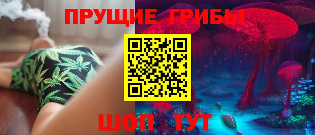 Псилоцибиновые грибы MAGIC MUSHROOMS Похвистнево